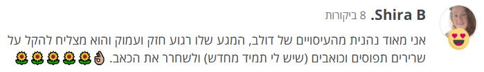 ביקורת - שירה ב